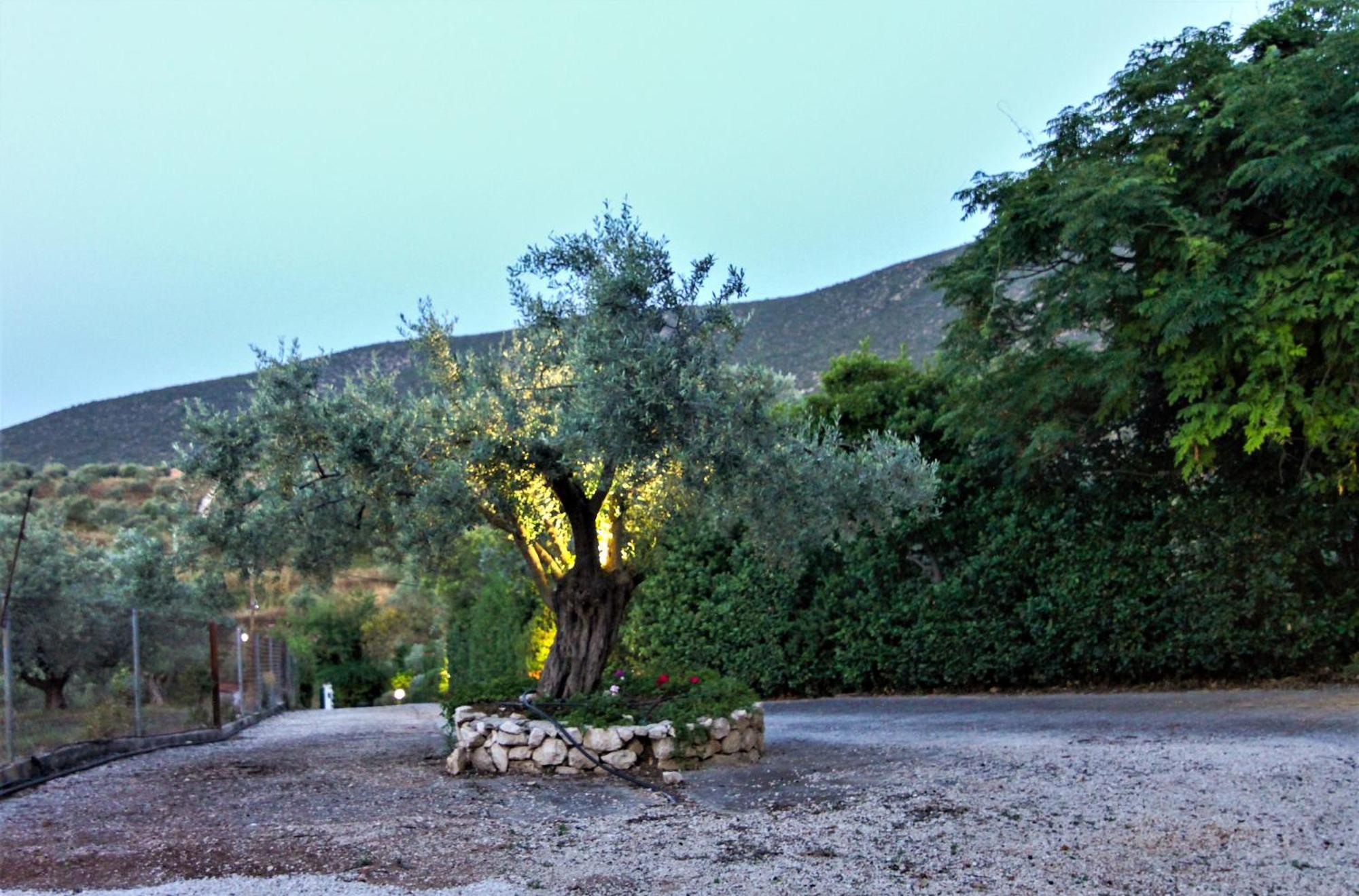 Villa Korina Metochi  Exterior photo
