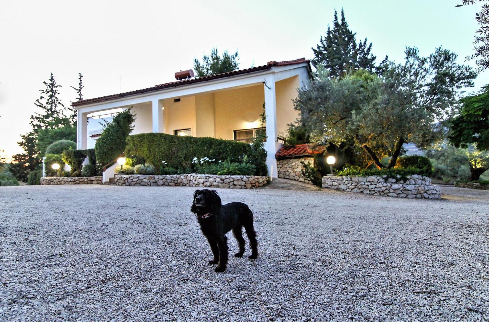Villa Korina Metochi  Exterior photo
